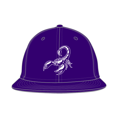 Scorpions Game Hat - Scorpion Logo - Purple