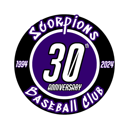 Scorps 6 Inch Car Magnet